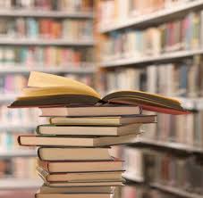 Funcarte lança o Plano Municipal do Livro e Bibliotecas de Natal